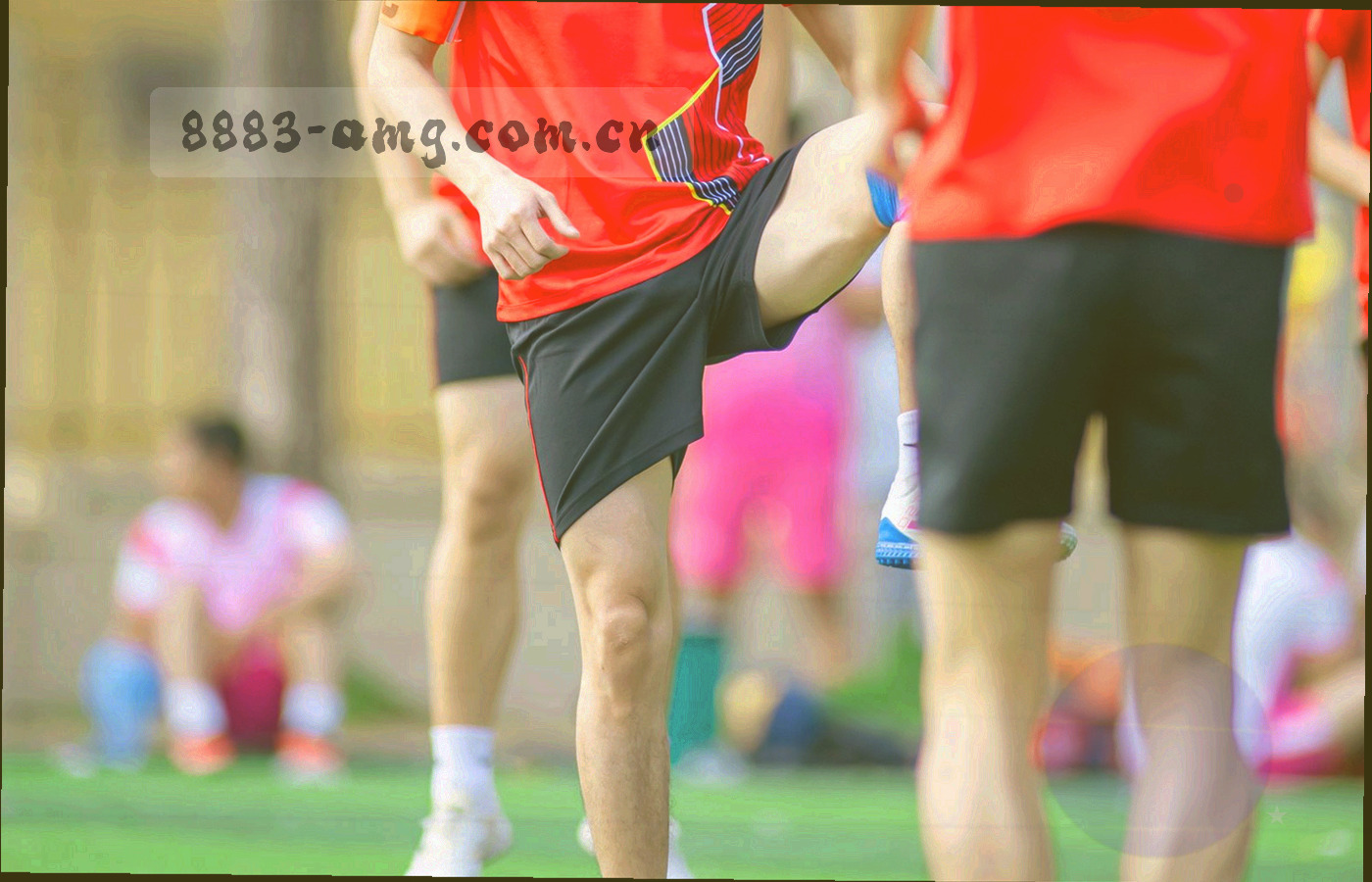 手机屏幕透出紫色检索光晕，屏内显示按尺寸分组的适配清单列表